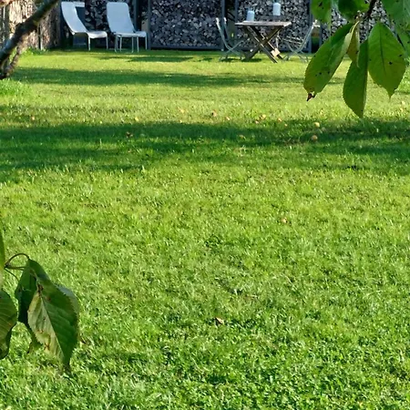 Holzer 2.0 * 布兰嫩堡